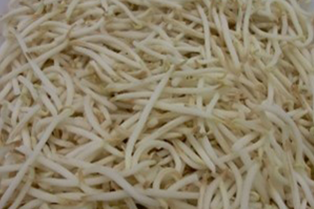 I.Q.F Beansprouts