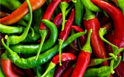 The Benefits of Frozen Chillies