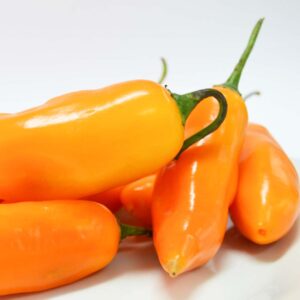 Frozen Whole Yellow Amarillo