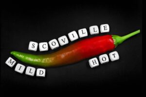 What Truly Defines Spicy