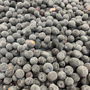 IQF Whole Blueberries