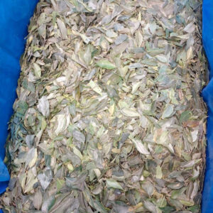 IQF Whole Curry Leaves