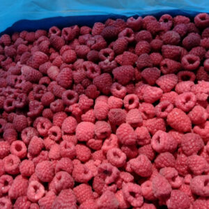 IQF Whole Raspberries