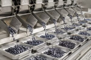 The Benefits of IQF Whole Blueberries