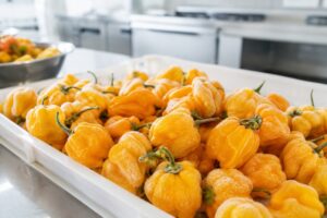 IQF Whole Yellow Scotch Bonnet Chillies FAQs